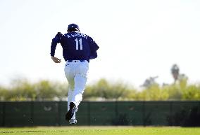 Baseball: MLB spring training
