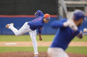 Baseball: MLB spring training