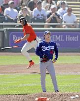 Baseball: MLB spring training