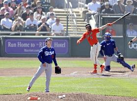 Baseball: MLB spring training