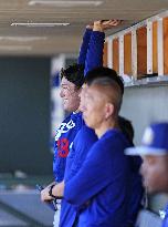 Baseball: MLB spring training