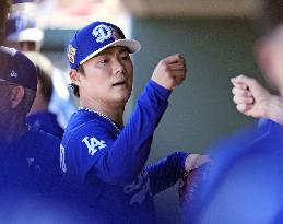 Baseball: MLB spring training