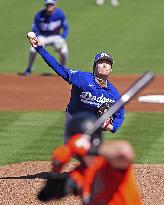 Baseball: MLB spring training