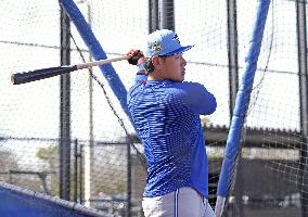 Baseball: MLB spring training