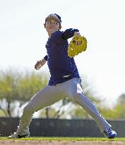 Baseball: MLB spring training