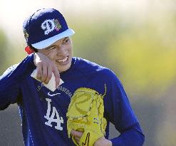 Baseball: MLB spring training