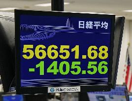 Tokyo stocks plunge