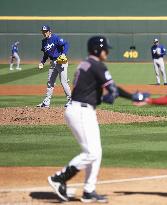 Baseball: MLB spring training game