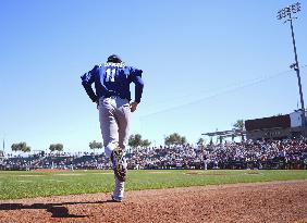 Baseball: MLB spring training game