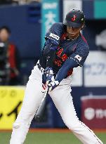 Baseball: Ohtani ahead of WBC