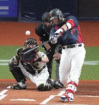 Baseball: Suzuki ahead of WBC