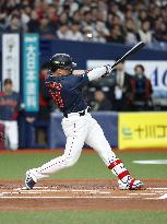 Baseball: Suzuki ahead of WBC