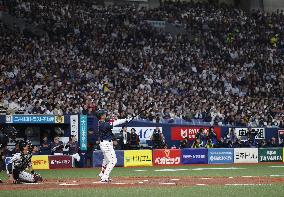 Baseball: Suzuki ahead of WBC