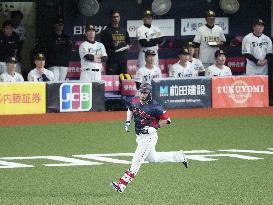 Baseball: Suzuki ahead of WBC