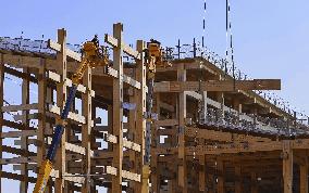 Wooden Grand Ring at expo venue in Osaka