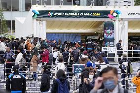 Baseball: Tokyo Dome