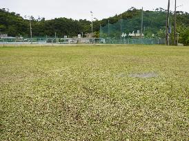 U.S. helicopter lands at Okinawa baseball field