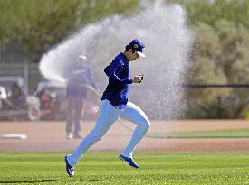 Baseball: MLB spring training
