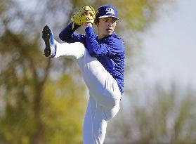 Baseball: MLB spring training