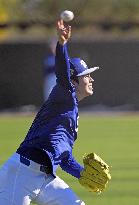 Baseball: MLB spring training