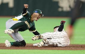 World Baseball Classic: Australia vs. Japan