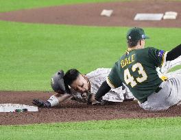 World Baseball Classic: Australia vs. Japan