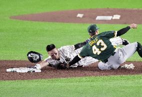 World Baseball Classic: Australia vs. Japan