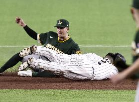 World Baseball Classic: Australia vs. Japan