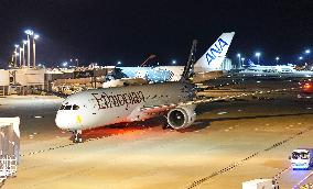 Plane carrying evacuees from Middle East arrives in Japan