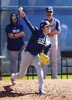 Baseball: MLB spring training