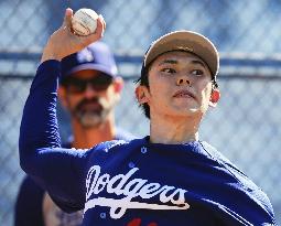 Baseball: MLB spring training