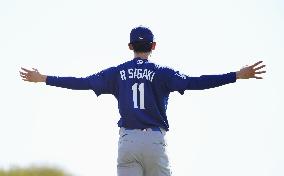 Baseball: MLB spring training