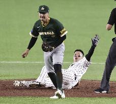 World Baseball Classic: Australia vs. Japan