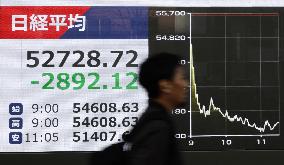 Tokyo stocks plunge