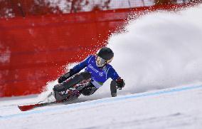 Milan Cortina Paralympics: Alpine skiing