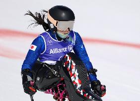 Milan Cortina Paralympics: Alpine skiing