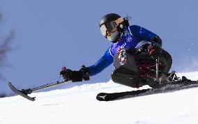 Milan Cortina Paralympics: Alpine skiing