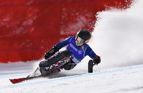 Milan Cortina Paralympics: Alpine skiing