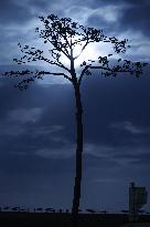 15th anniversary of 2011 Great East Japan Earthquake