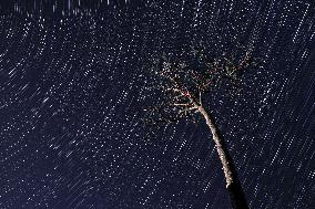 15th anniversary of 2011 Great East Japan Earthquake