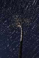 15th anniversary of 2011 Great East Japan Earthquake