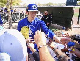 Baseball: MLB spring training