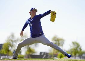 Baseball: MLB spring training