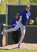 Baseball: MLB spring training