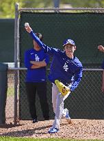 Baseball: MLB spring training