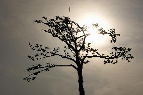 15th anniversary of 2011 Great East Japan Earthquake