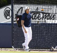 World Baseball Classic