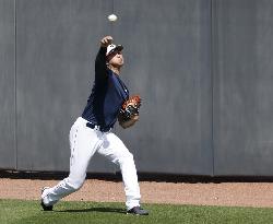 World Baseball Classic