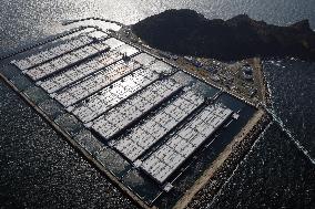 Japan to dip into petroleum reserves amid Middle East crisis