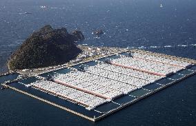 Japan to dip into petroleum reserves amid Middle East crisis